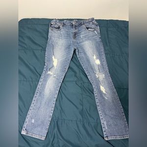 The Federation Distressed Skinny Jeans